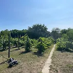 In Der 1 * Siófok